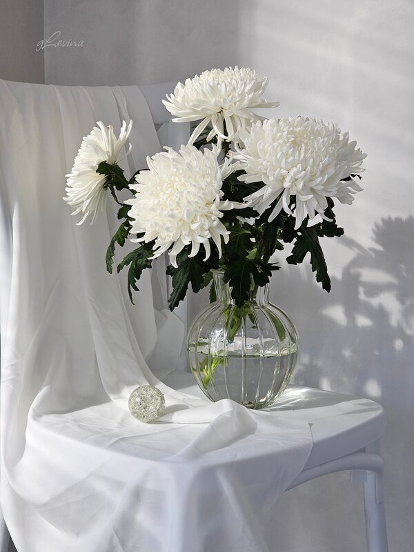 Утро свадебного дня. - Галина Левина