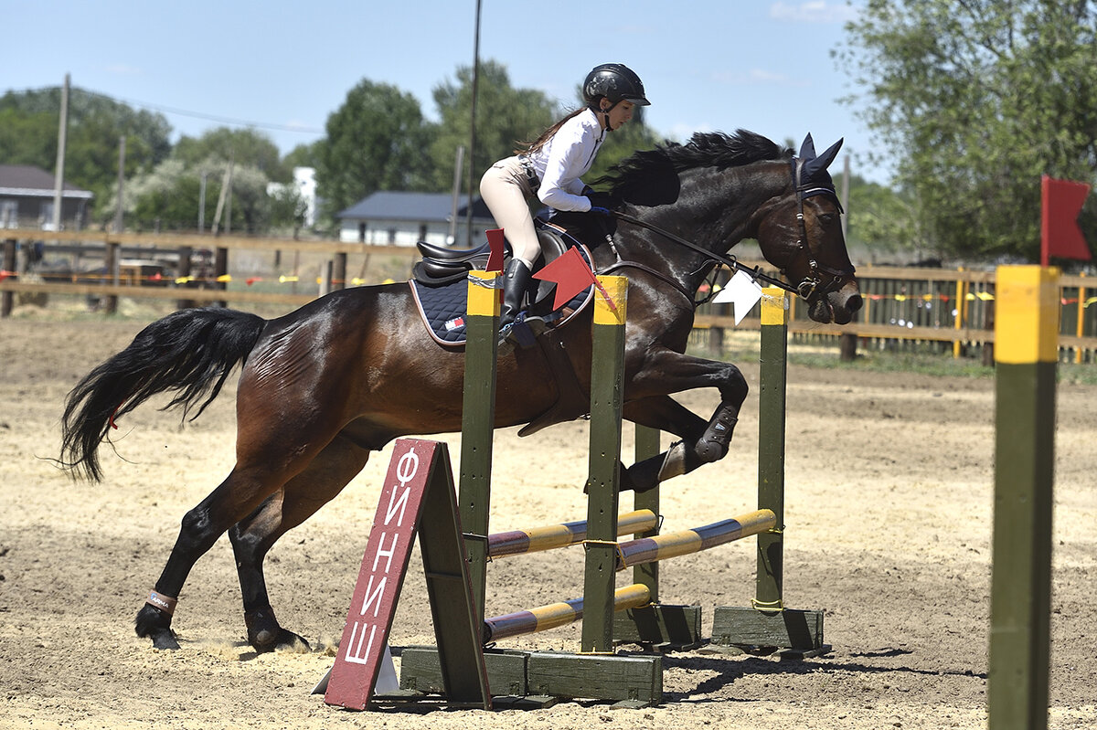 Грация и Красота! - Александр Гриднев