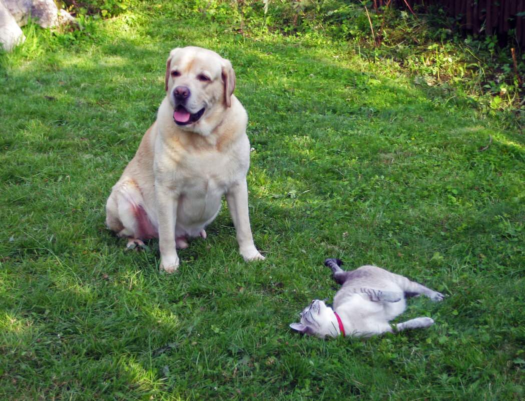 Когда в отношениях нет перспективы... - Борис Бутцев