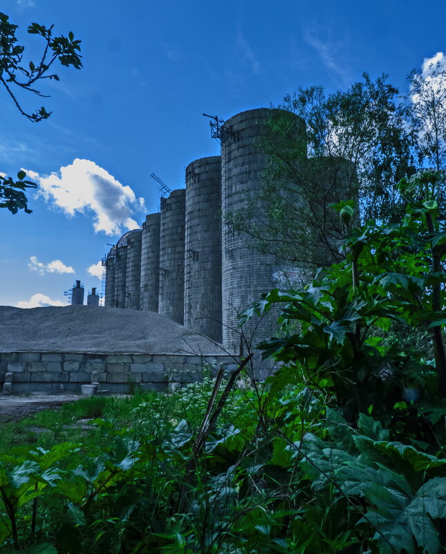 Величавые руины - Наталья Rosenwasser Величавые руины - Наталья Rosenwasser