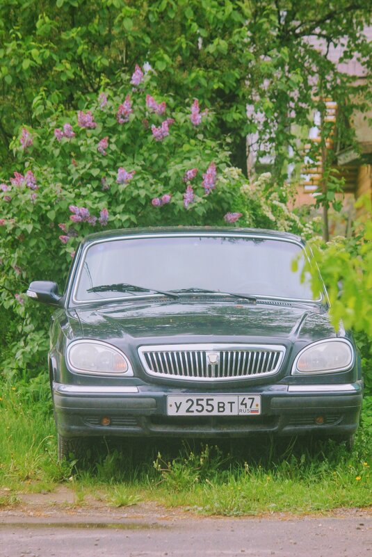 Весенний день - Сергей Кочнев