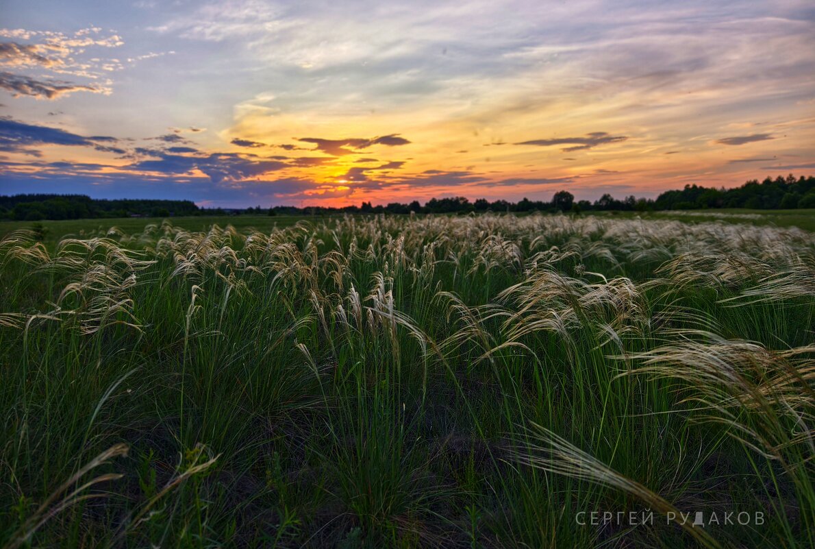 Закат с ковылем - Сергей 