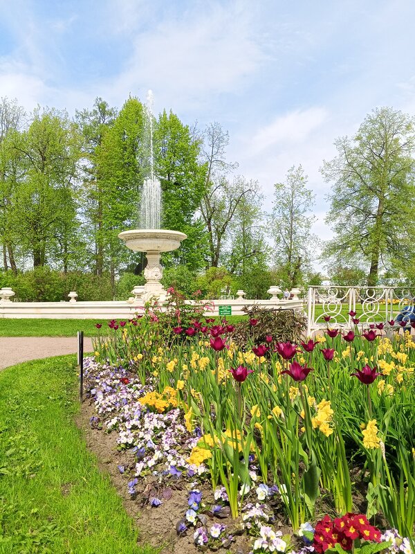 Фонтан - Сапсан 