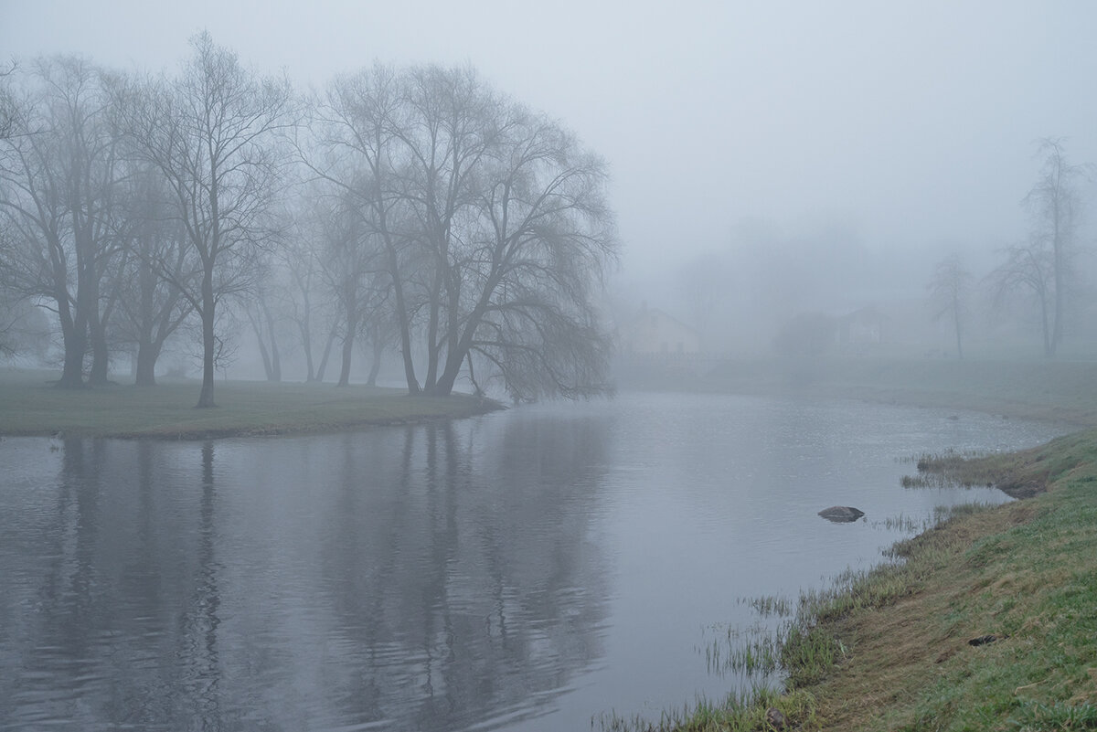 Туманное утро - Виктор Желенговский