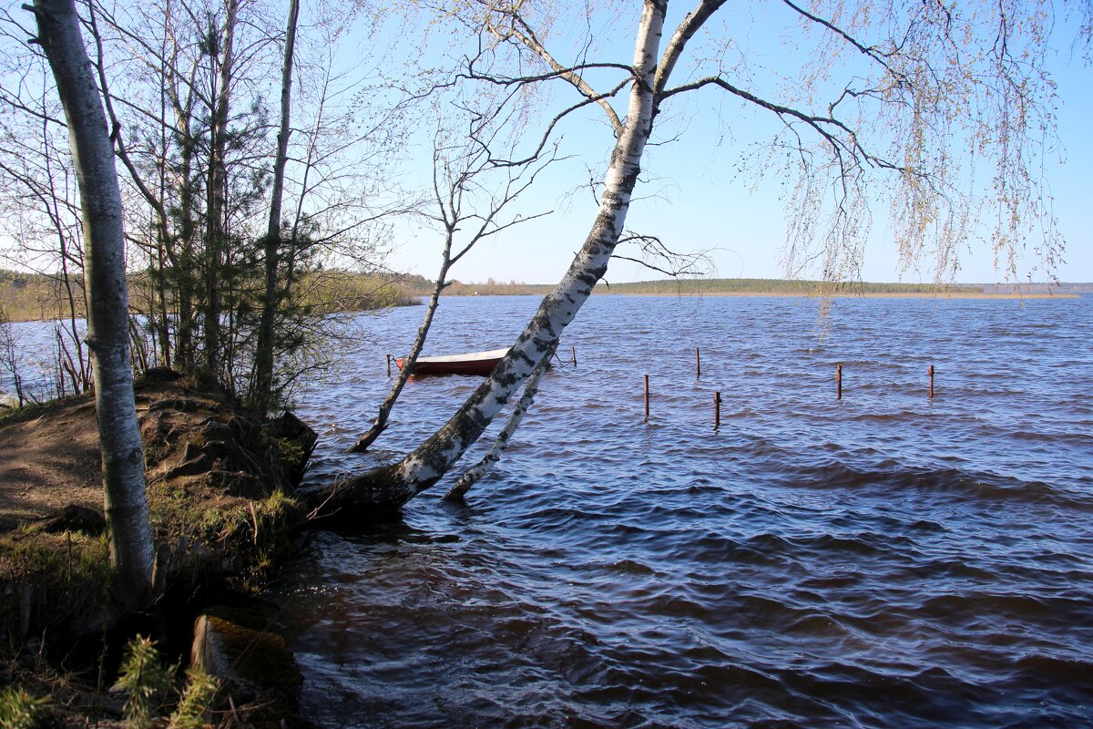 Токсово - Наталья Герасимова