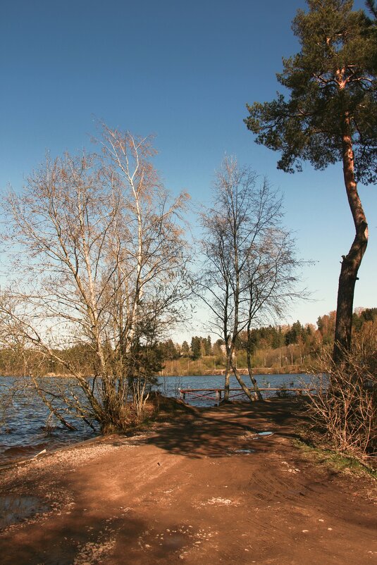 Токсово - Наталья Герасимова