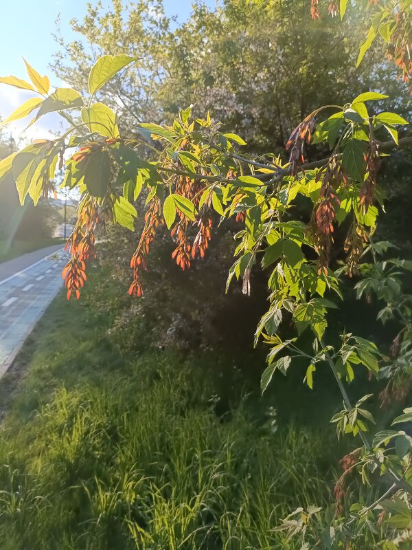 весной - Галина R...