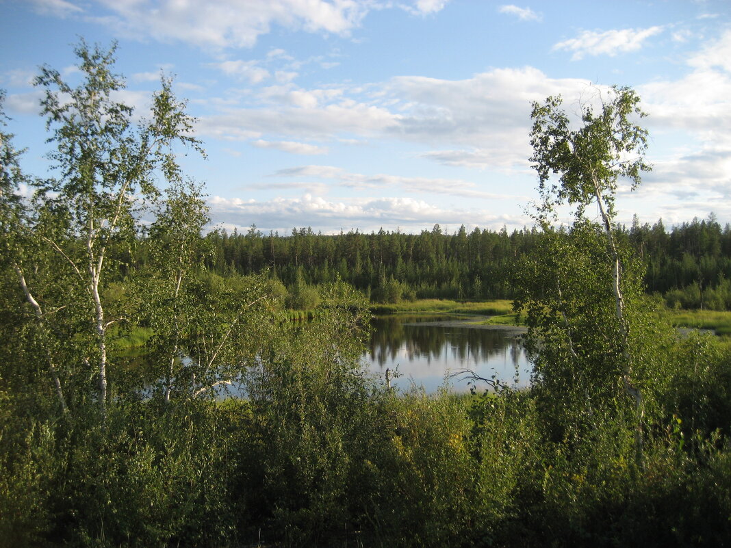 Лето - Anna Ivanova