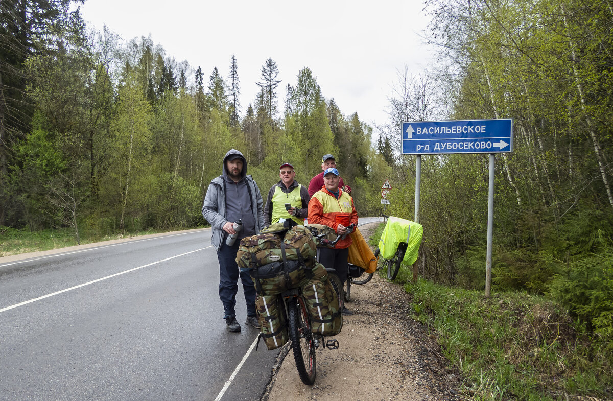 Пасмурно. У развилки - Сергей Цветков Пасмурно. У развилки - Сергей Цветков