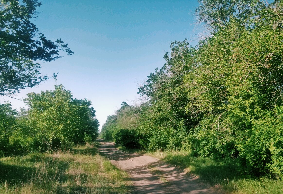 Походная дорожка. - Андрей Хлопонин