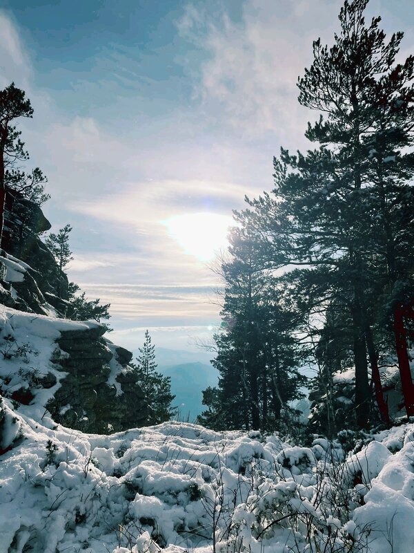 Зима в горах - Георгиевич 