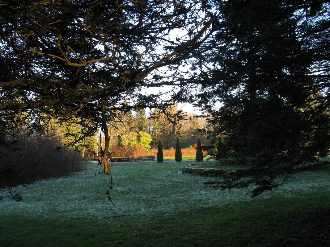 В Нижнем парке Петергофа - Надежда 