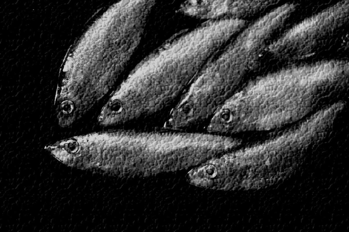 бумажный косяк - Дмитрий Потапов