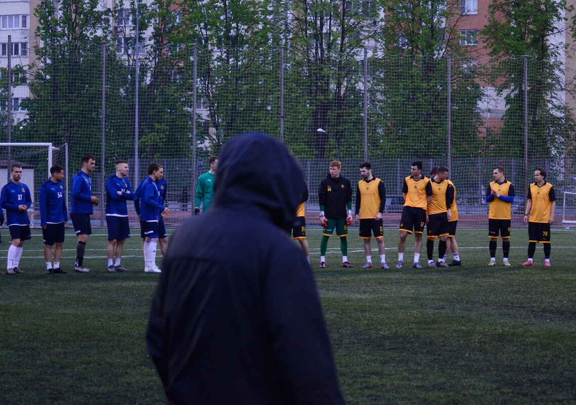 Тень поражения. - Наталья Вязигина