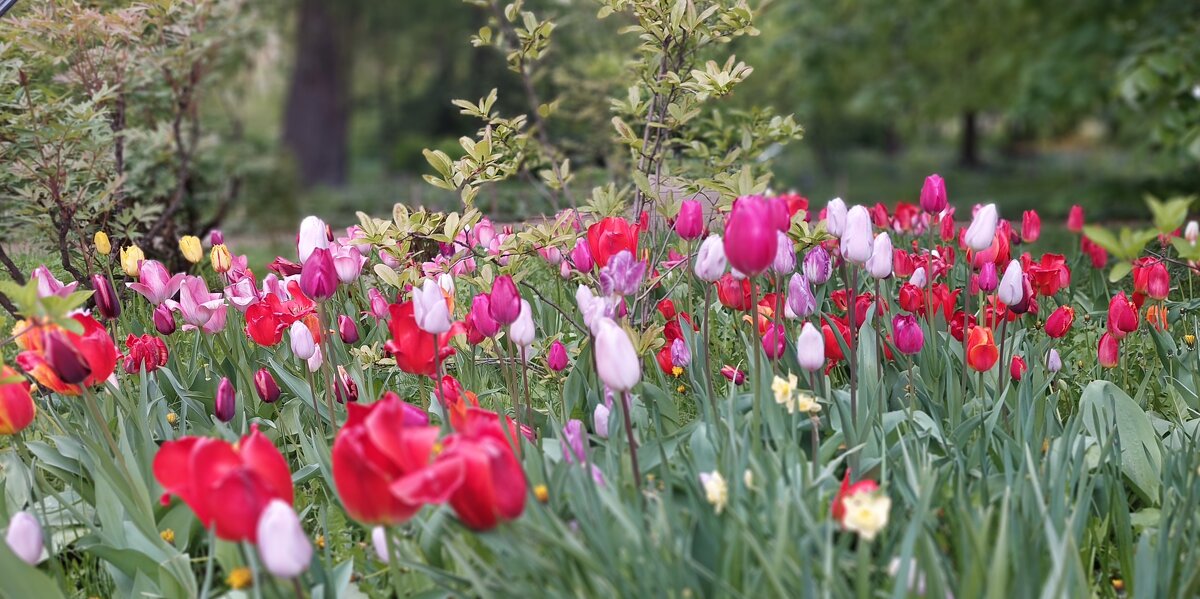 Прощание с весной - ИРЭН@ . Прощание с весной - ИРЭН@ .