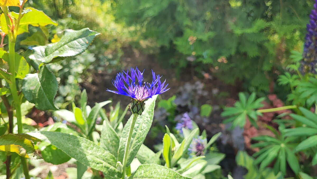 ,,, - Сергей Тимоновский