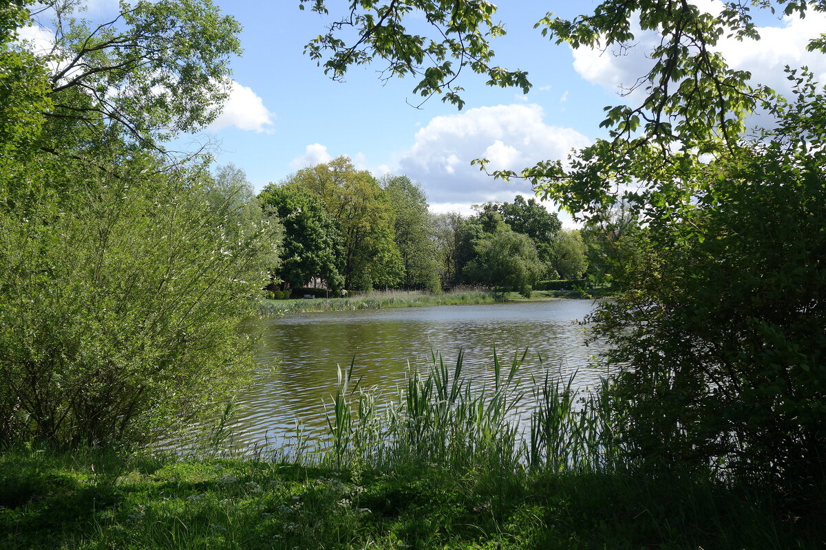 Майский пейзаж - Рита Симонова