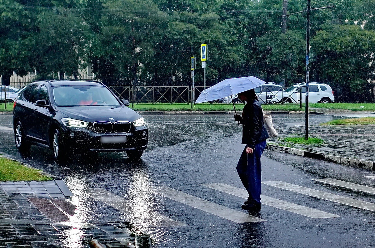 Про дождь в Краснодаре... - Николай Саржанов Про дождь в Краснодаре... - Николай Саржанов