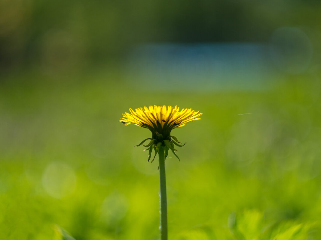 ___ - Yuriy V ___ - Yuriy V