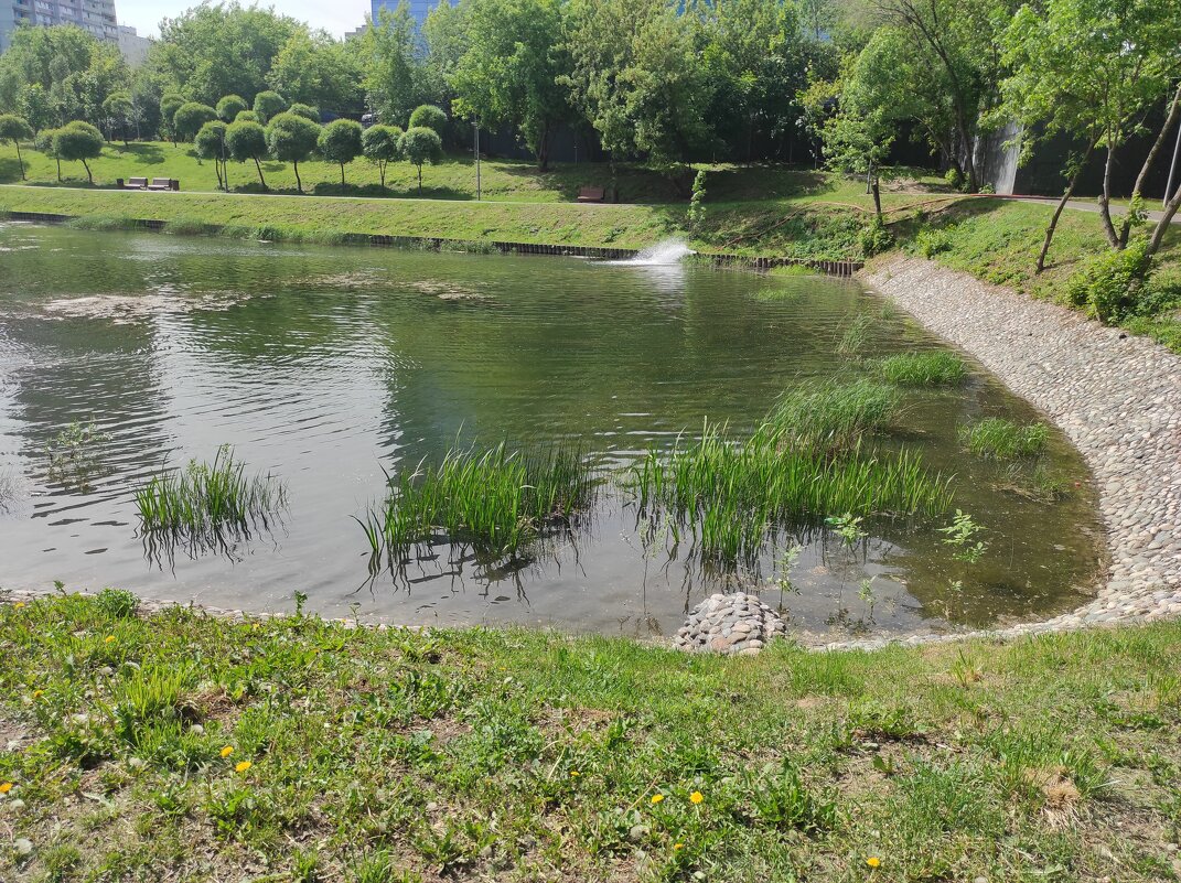 Варшавский пруд - Игорь Ч. Варшавский пруд - Игорь Ч.