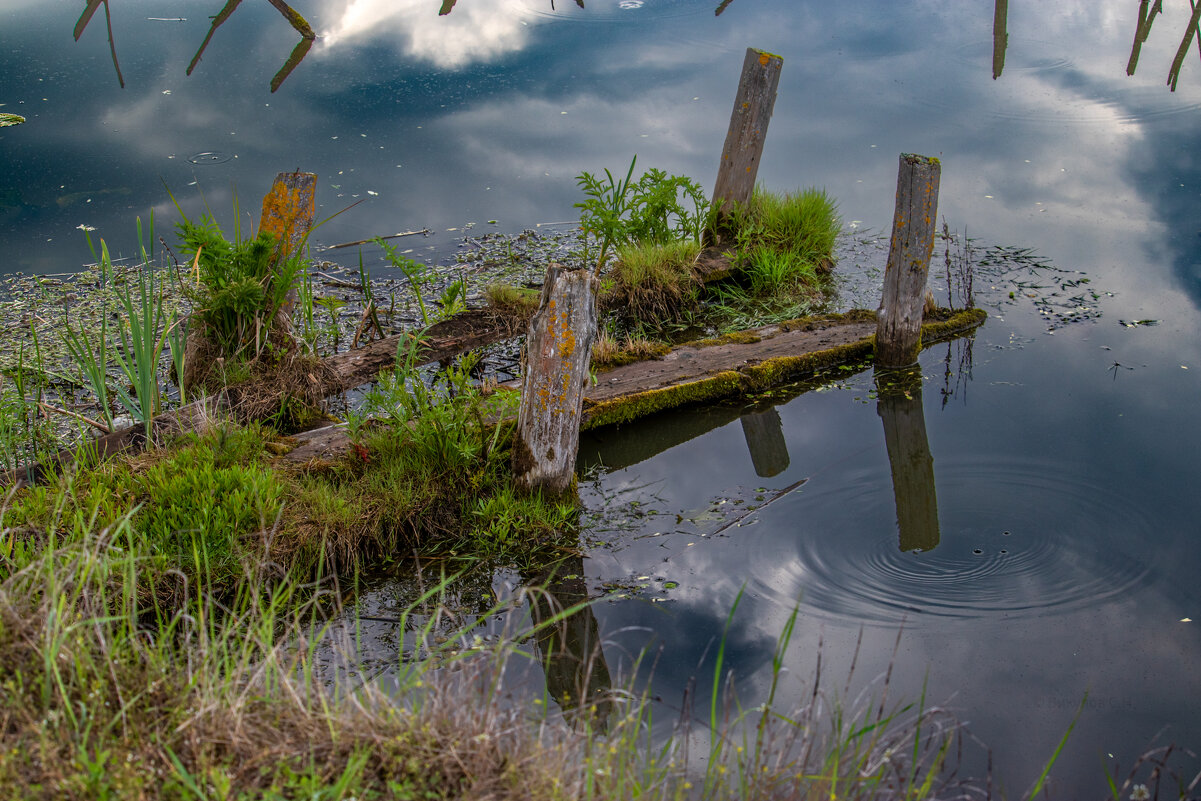 В Павловичах на озере - Sergei Vikulov В Павловичах на озере - Sergei Vikulov