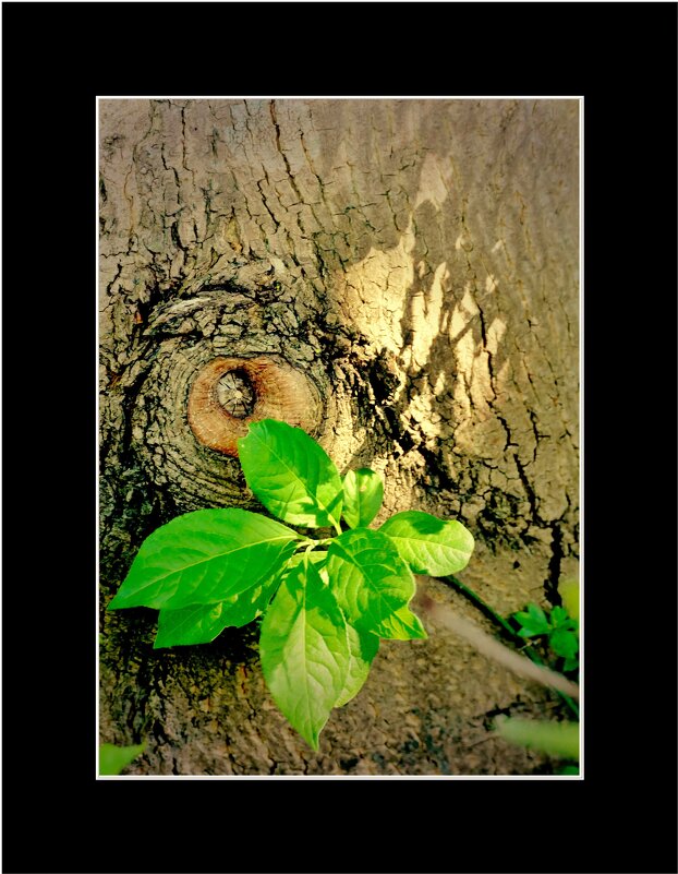 ЭТЮД.... - Elvira E. ЭТЮД.... - Elvira E.