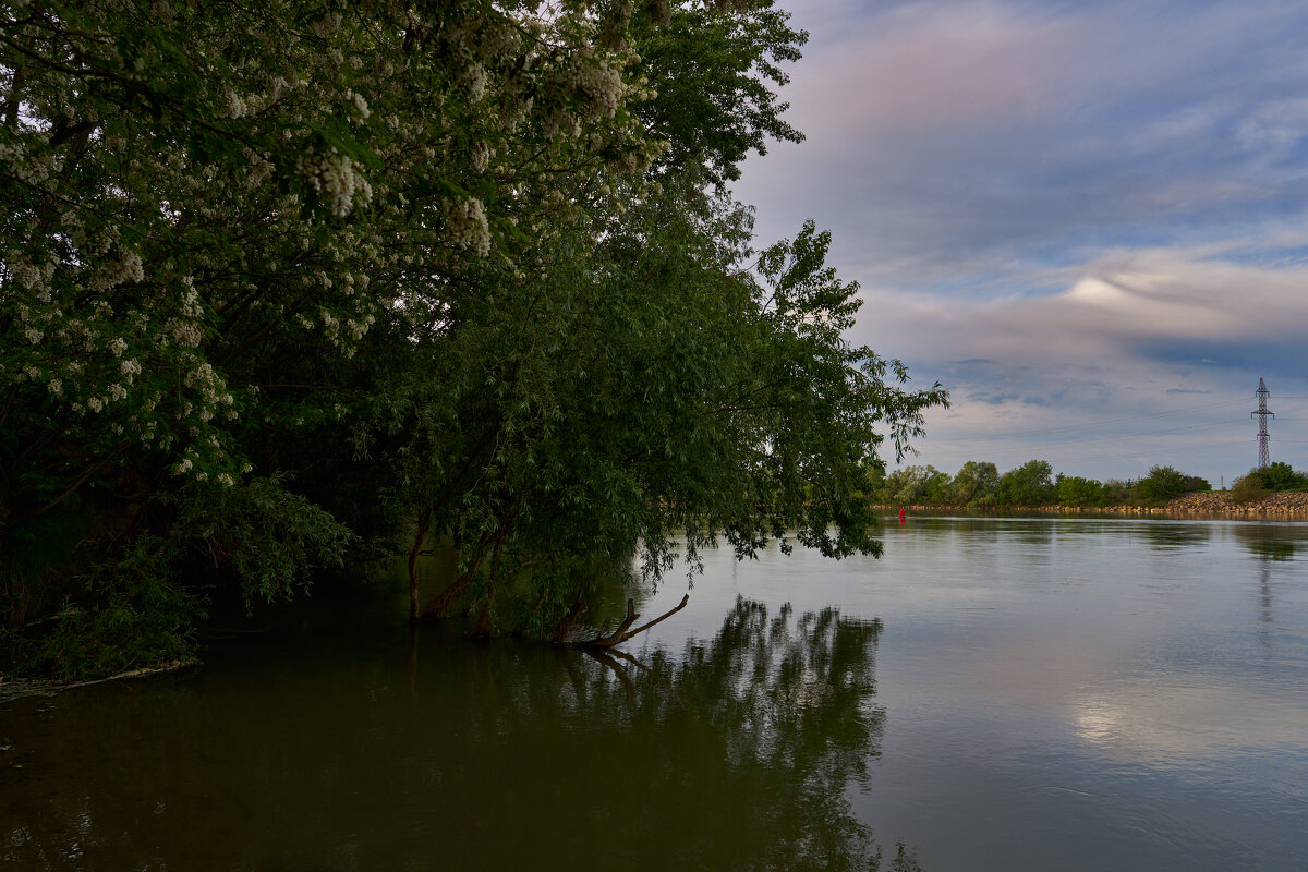 есть только миг - Вячеслав Позывной