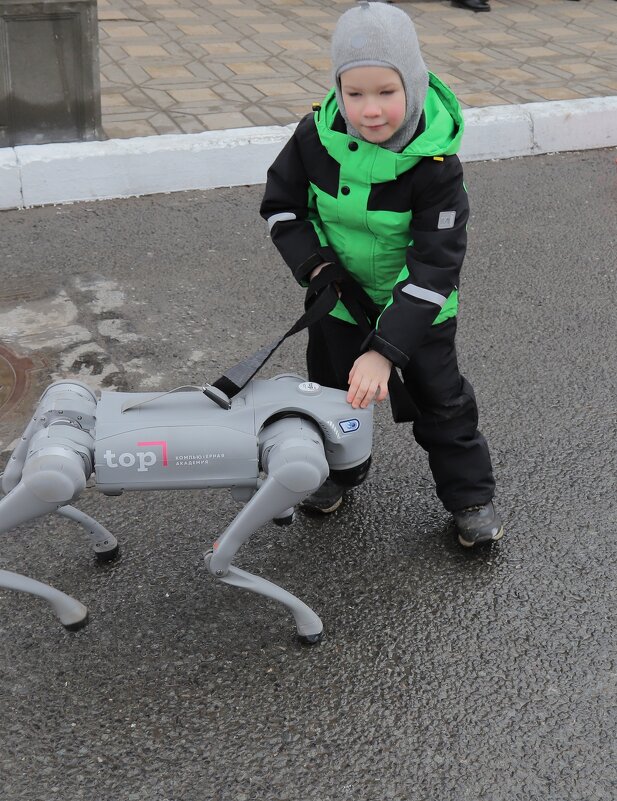 и такого друга надо выгуливать - Владимир иванов и такого друга надо выгуливать - Владимир иванов