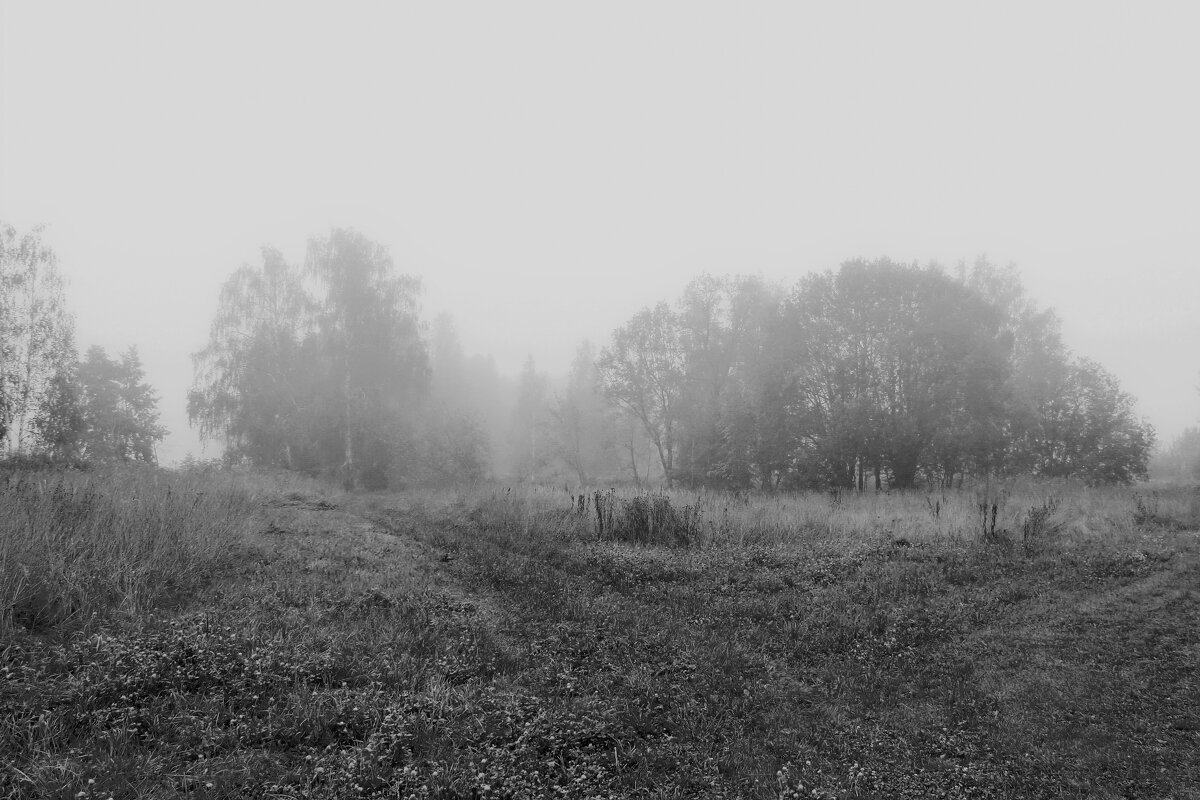 ----foggy---- - AL Reborn 