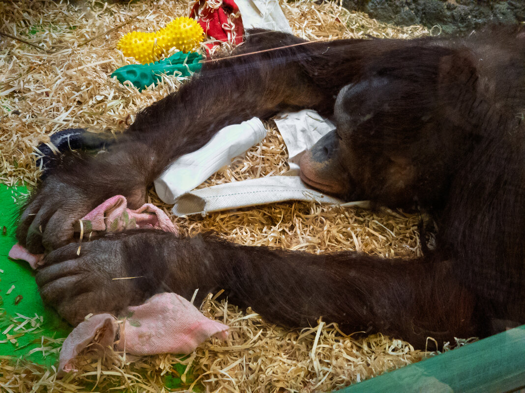 Устал... - Борис Калитенко