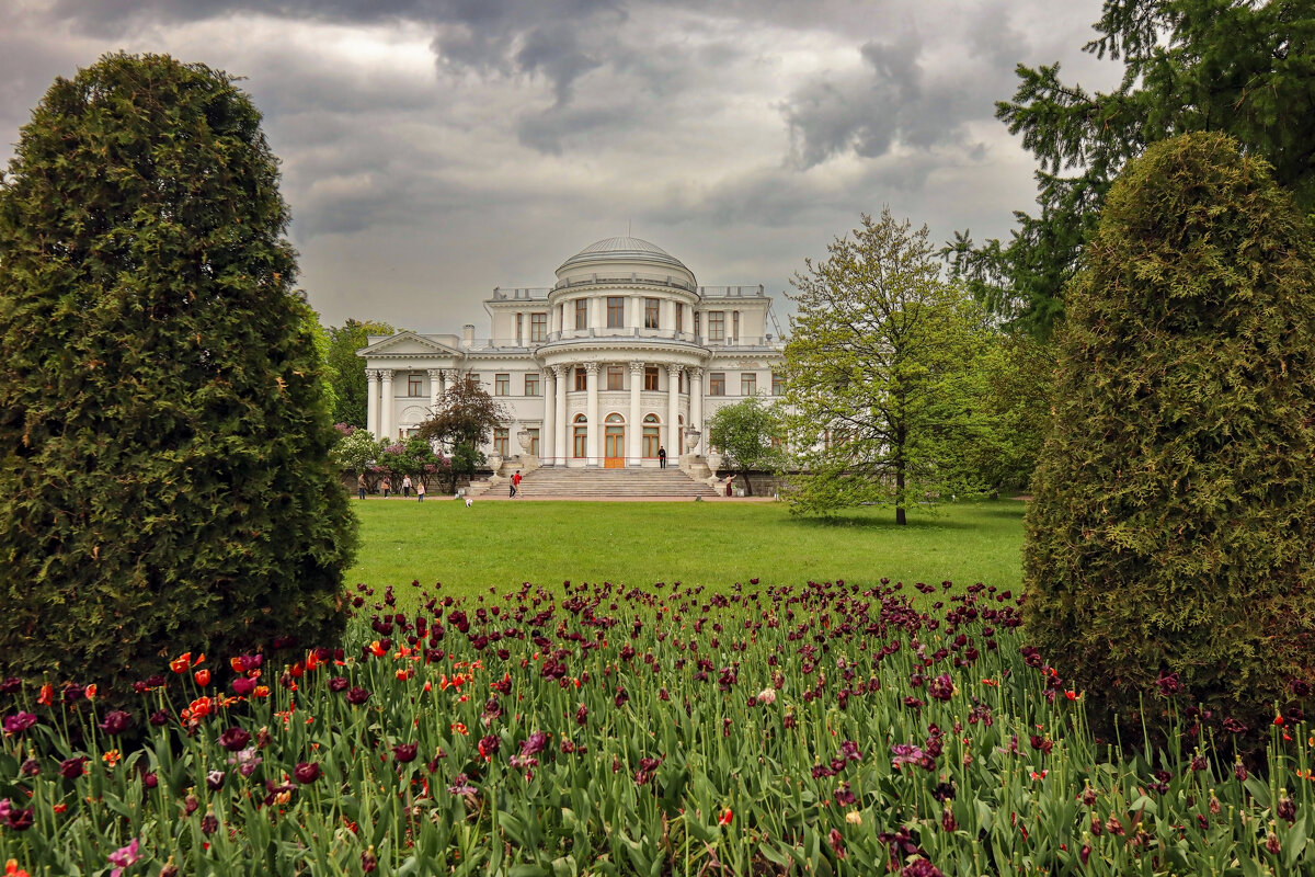 Елагин остров - skijumper Иванов