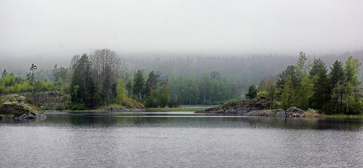 Ладога - Ольга Cоломатина