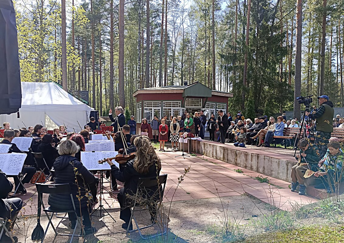 Играет оркестр - Мария Васильева