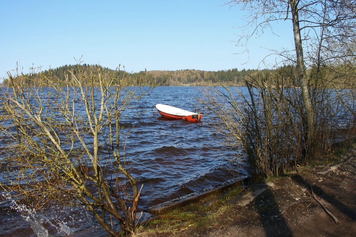 Токсово - Наталья Герасимова