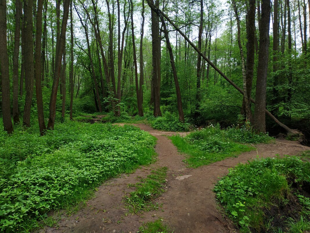 * * * - Андрей Лукьянов