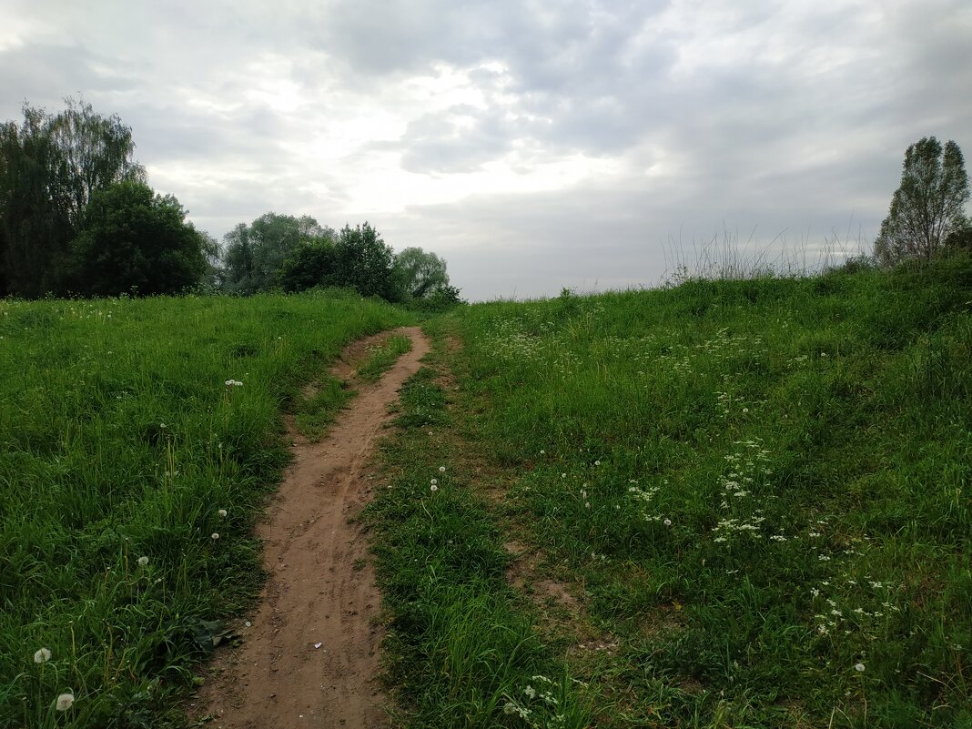 * * * - Андрей Лукьянов * * * - Андрей Лукьянов