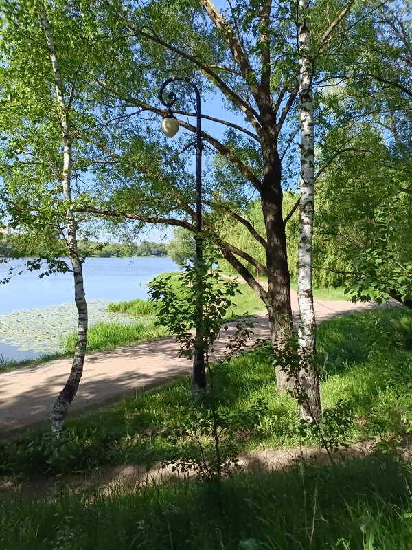 у пруда - Галина R...