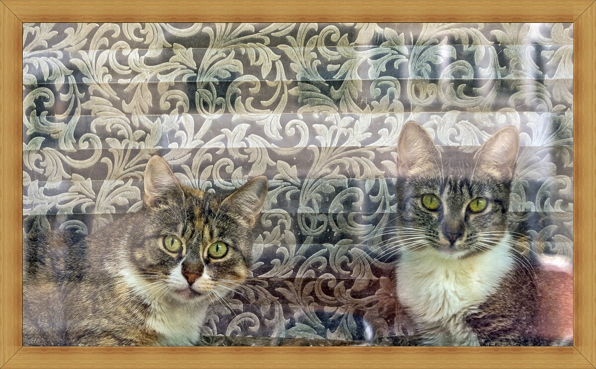 Семейный портрет - Валерий Иванович Семейный портрет - Валерий Иванович