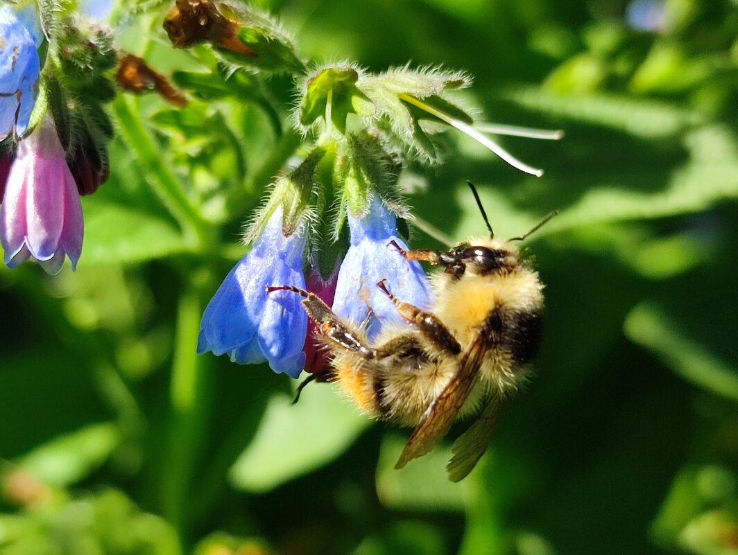 *** - Валентина Богатко 