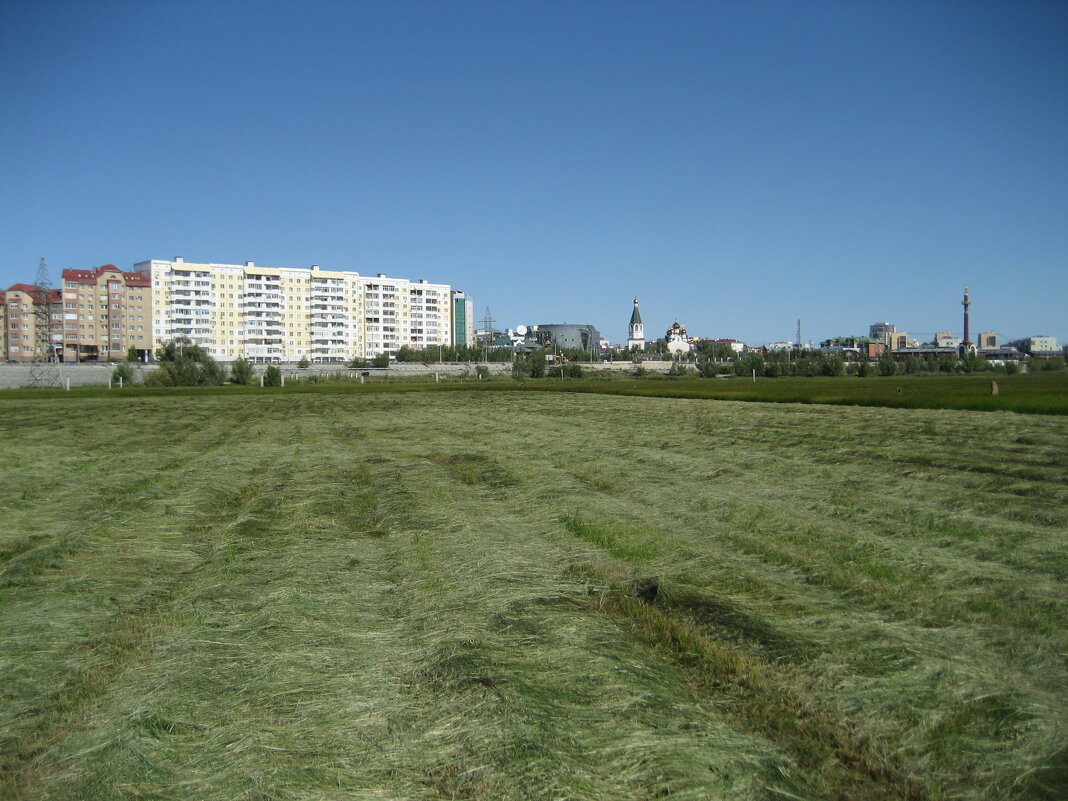 Покос - Anna Ivanova