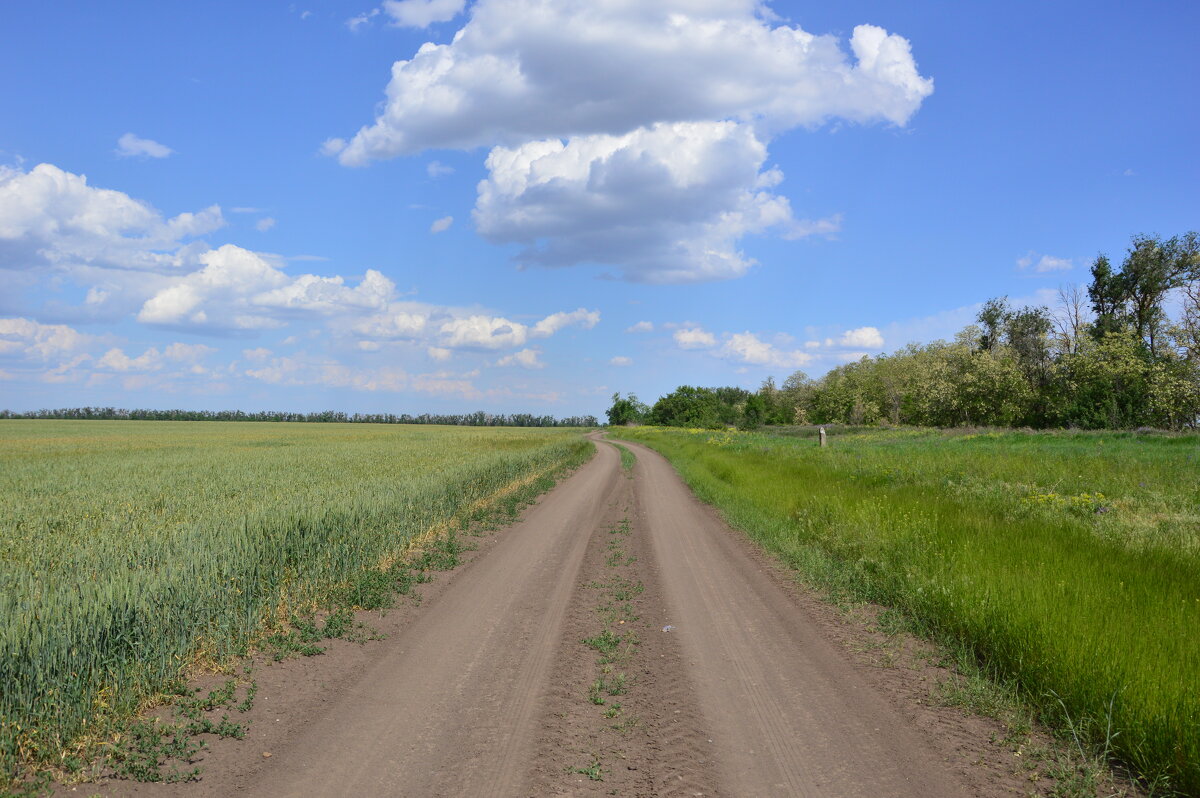 Мои дороги. - Виктор 