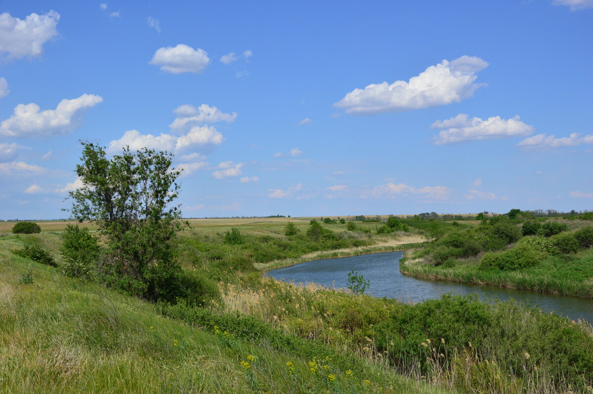 Местная река. - Виктор 
