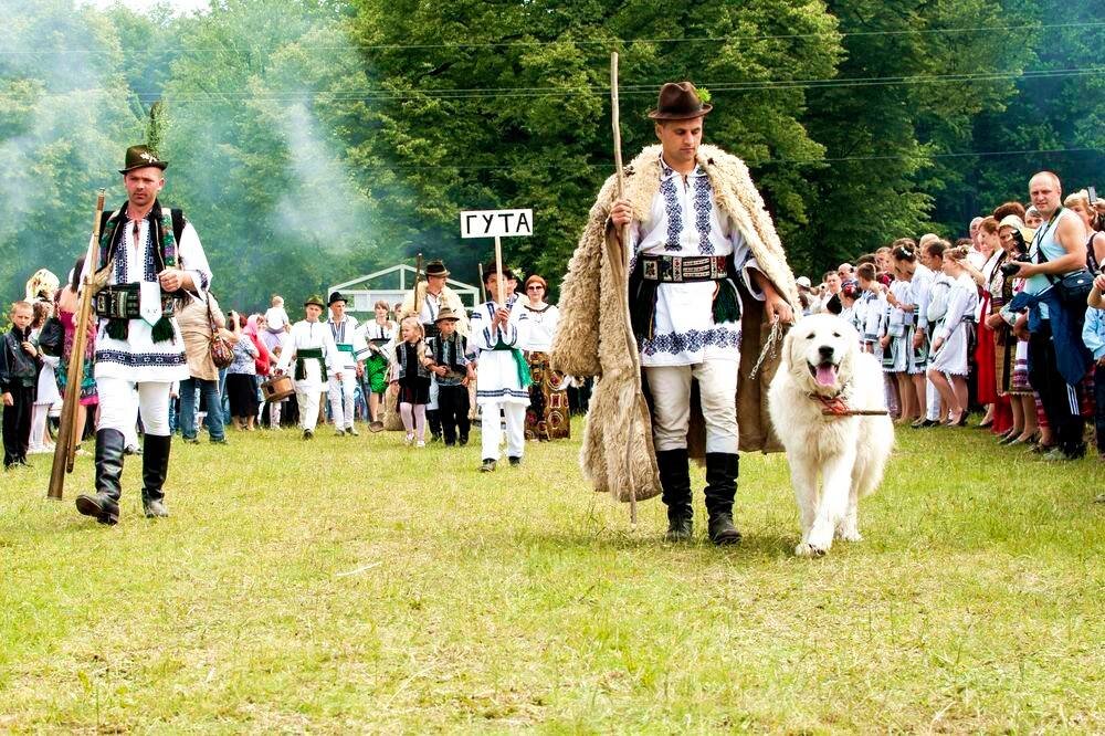 Свято вівчарів - Степан Карачко