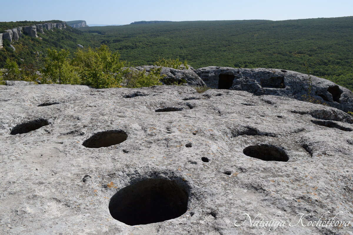 Природа Крыма - Amazing Cosmea Природа Крыма - Amazing Cosmea