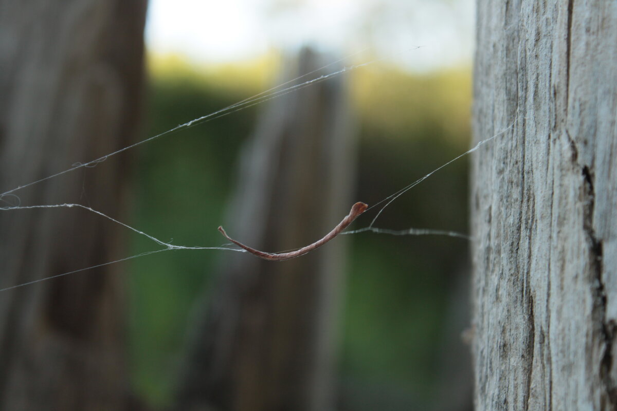 поймали.. - Андрей Петренко