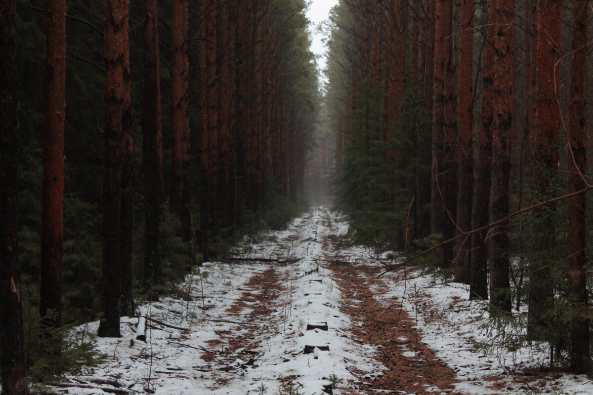 Дорога.... - Андрей Петренко