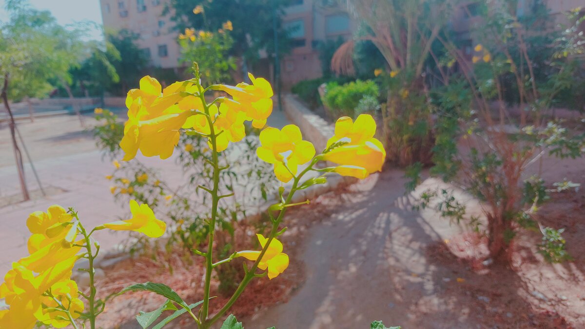 13  ОПЕН (95) - OPEN WAYS ALL