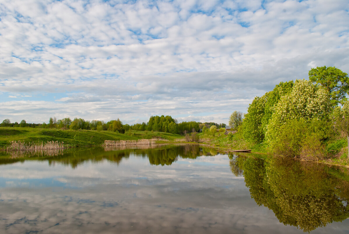 Весенний пейзаж - Анастасия Логинова Весенний пейзаж - Анастасия Логинова