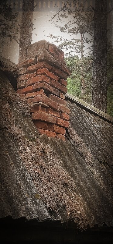 дымоход - Алексей Ильичёв