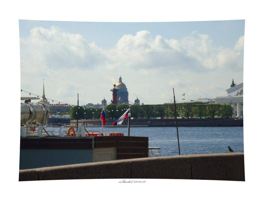 случайная птичка в праздничный полдень - sv.kaschuk 